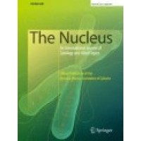 The Nucleus Logo