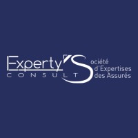 ExpertyS Consult Logo