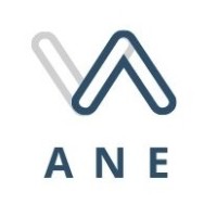ANE Consultoria Logo