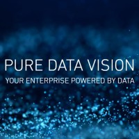 PURE DATA VISION Logo