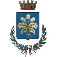 Comune di Modugno Logo