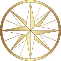 Sentinel First Consultancy DMCC Logo