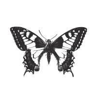 di Paola Latina Logo