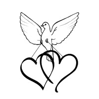 Doves Eye View Wedding Livestreaming - Chicago Logo