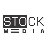 Stock Media India Logo