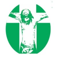 Hospital Divina Providência Logo