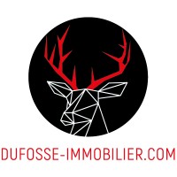 Dufossé Immobilier Logo