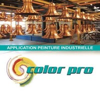 COLOR PRO Logo