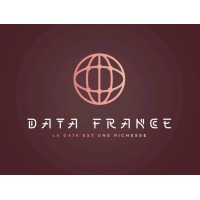 STEDIB (DATA IA BIOUI | CONSULIING | DATA FRANCE) Logo