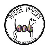 Roscoe Rescues Logo