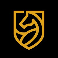 Martingale Insights Logo