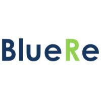 BlueRe Logo