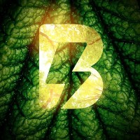 Bion Global Biocredits Ltda. Logo
