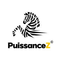PuissanceZ Logo
