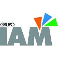 Grupo IAM Logo