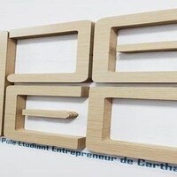 POLE ETUDIANT ENTREPRENEUR DE CARTHAGE_PEEC Logo