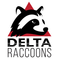 DeltaRaccoons Team OÜ Logo