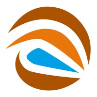 Dutch Tigers Software Logo