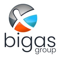 bigas group Logo