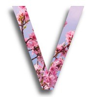 trive Logo
