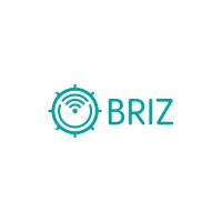 BRIZ Logo