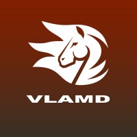 Vlamd Logo