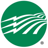 Amicalola Electric Membership Corporation Logo