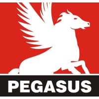 Pegasus Farmaco India Pvt Ltd Logo