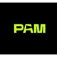 Pam Learning Logo