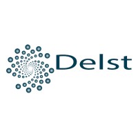 Delst South Asia Logo