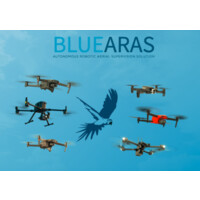 BLUEARAS Logo