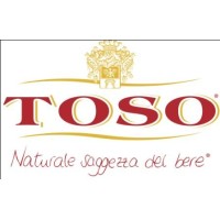 Toso S.p.A. Logo