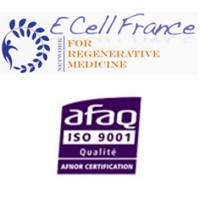 ECELL France Montpellier Logo