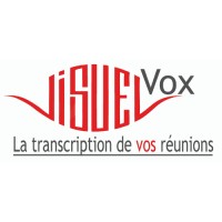 Visuel Vox Logo