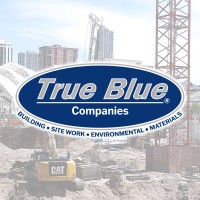 True Blue Environmental Logo