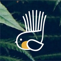 Fantail Estudio Logo