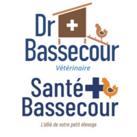 Dr Bassecour / Santé Bassecour Logo