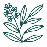 Sage Therapy Chicago Logo