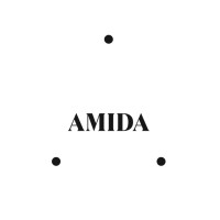 Grupo Amida Logo