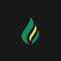 Reignite Democracy Australia Logo