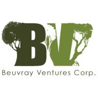 Beuvray Ventures Logo