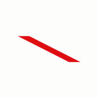 Streng Agency Logo