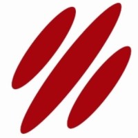 Tranvorma Strategic Consulting Logo