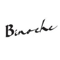 BINOCHE DESIGN Logo