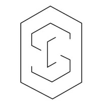 The Skin Concept Logo