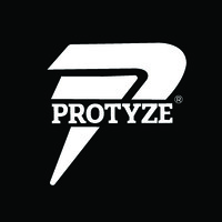 Protyze Logo