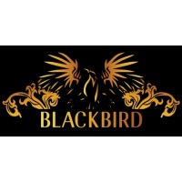 Blackbird Capital & Consulting Logo