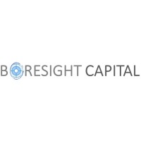 Boresight Capital Logo