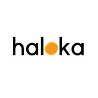 Haloka Group | Brand Consultant & Agency Logo