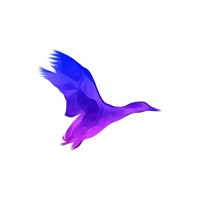 DUCKJATE UG Logo